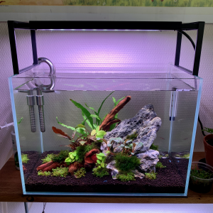 Nano20L