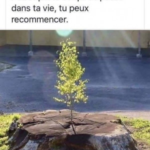 Publication de voir1
