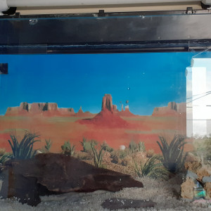 1ier aquarium