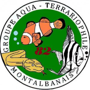 Bourse Aqua-terrariophile de Montauban
