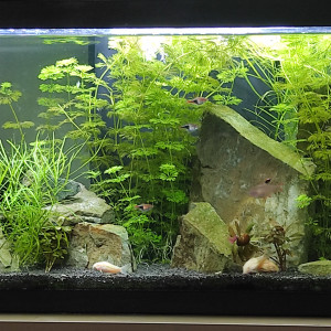 100l