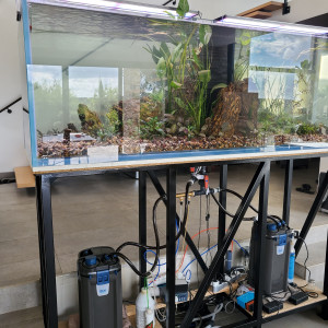 Aquarium salon