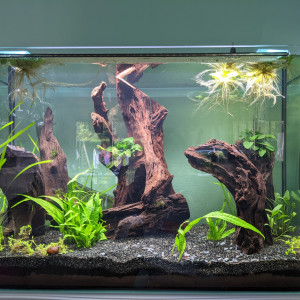 Aquarium