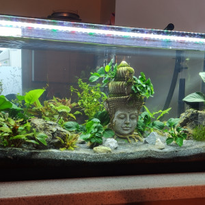 Juwel 160