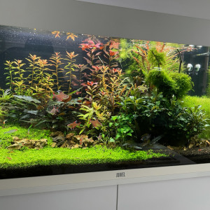 125L