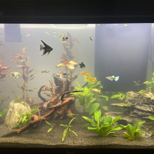 250L