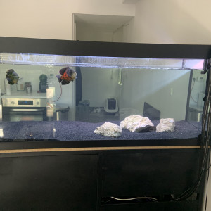 Publication de Aquarium69007
