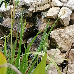 Publication de Koifranchecomte