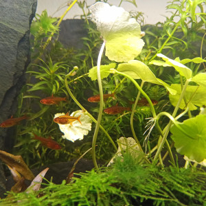 Publication de mimi579