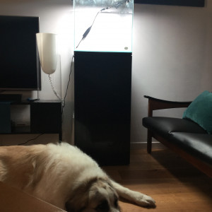 Publication de Oursiflu