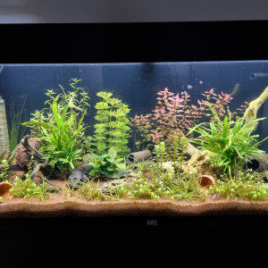 Aquarium 180L