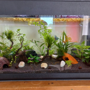 100l