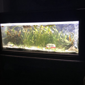 Publication de Lou-Charles