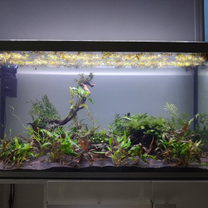 Osaka 320