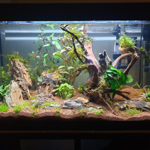 60L