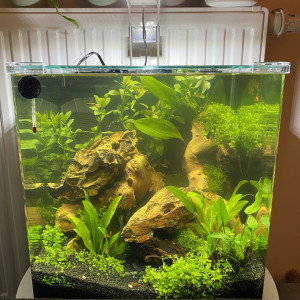 Nano Cube