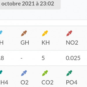 Publication de Nk4077