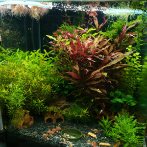 Publication de Kaeris