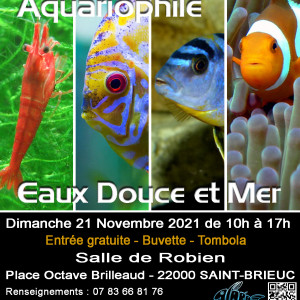 Bourse ACARA de Saint-Brieuc (22)