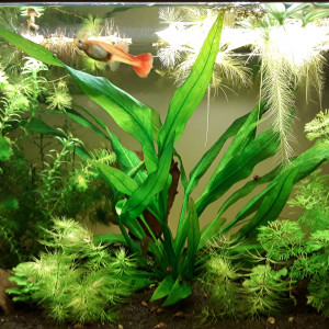 Publication de lucie-nol