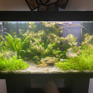 Publication de Ben89