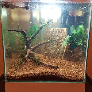 Nano