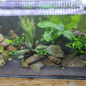 180 Litres tendance asiatique