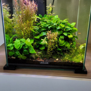 Nano aqua