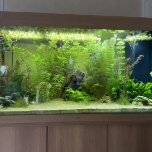 Salon 360 L