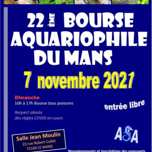 Publication de RICO61