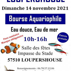 Bourse aux poissons Loupershouse