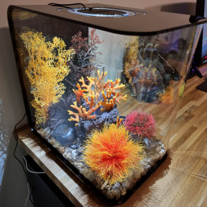 Biorb Flow 30