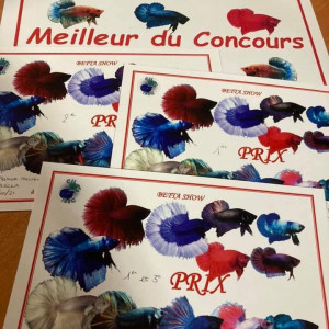 Publication de ZaydanAquiri