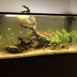 300L