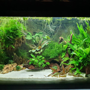 120L