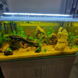 180 litres