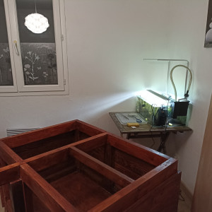 Publication de tommy-delamare