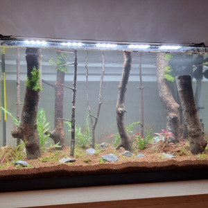 Premier aquarium