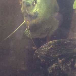 Publication de antoinehsks