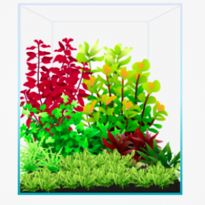 Publication de Wakame