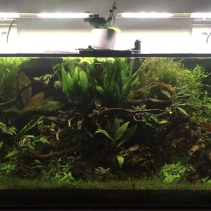 600 litres