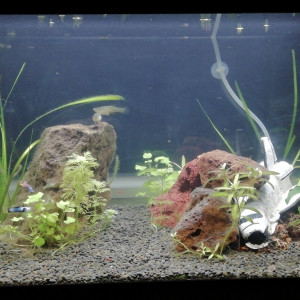 Publication de Galarya