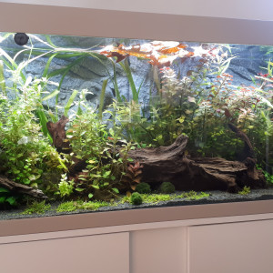 Publication de Alain87