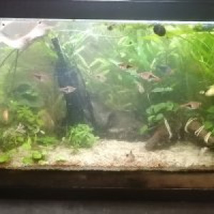 Publication de Aquagarden83