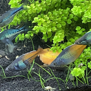 Publication de sylvain75010