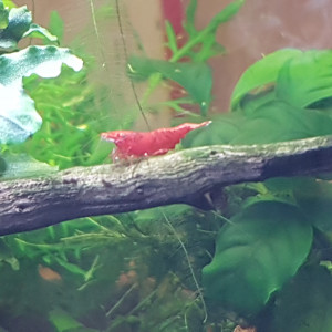 Publication de Aurelyyy86