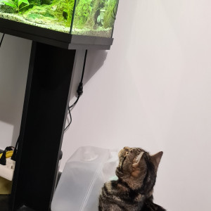 Publication de Cedou