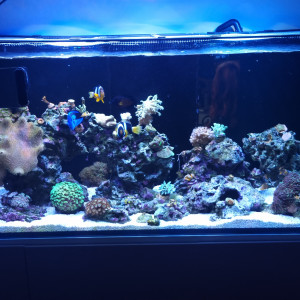 Publication de Jkwiat