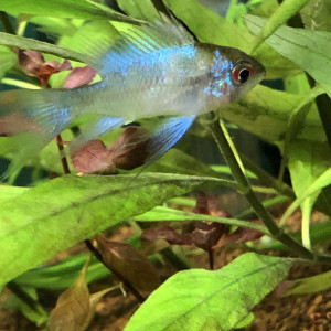 Publication de SimonLH