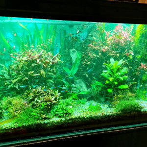 Publication de Kaeris